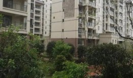 绿洲小区爆料视频最新,揭秘小区神秘事件真相！